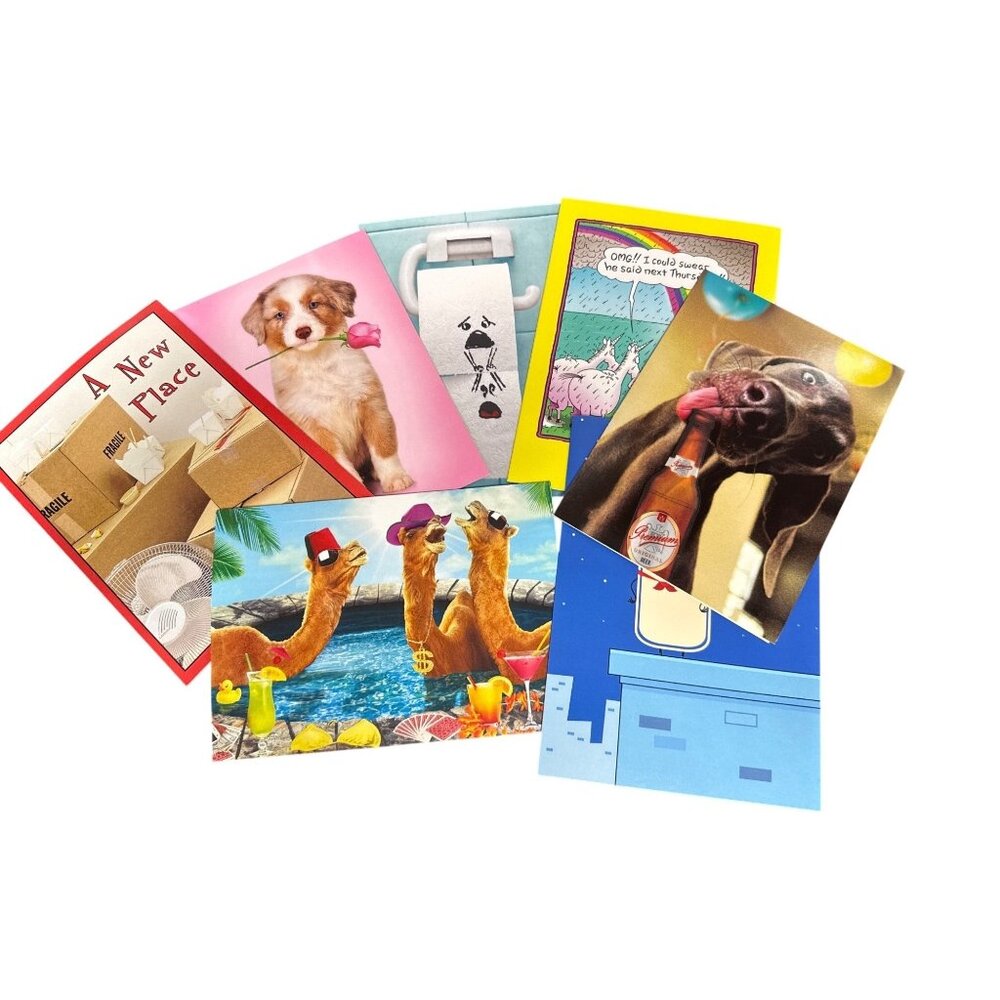 Whimsical Illustrated Greeting Card Set With Humorous Animal Scenes